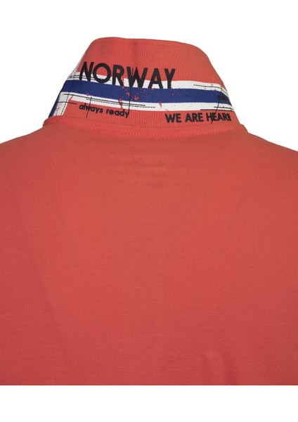 Erkek Polo Yaka Tişört Y21374797101 modelleri