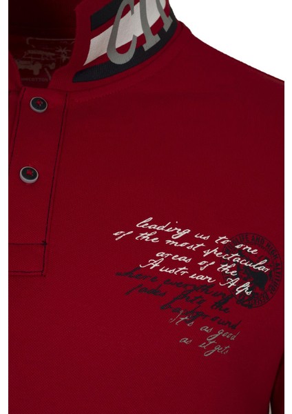 Erkek Polo Yaka Tişört Y21374271301 fiyatları