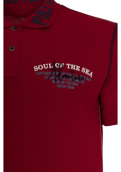 Erkek Polo Yaka Tişört Y21374271201 modelleri