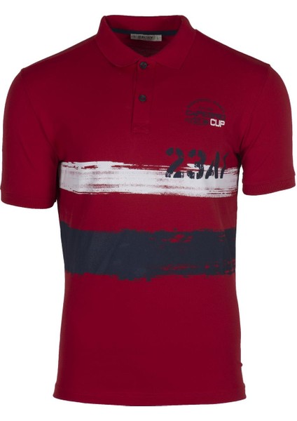 Erkek Polo Yaka Tişört Y9TYO7979