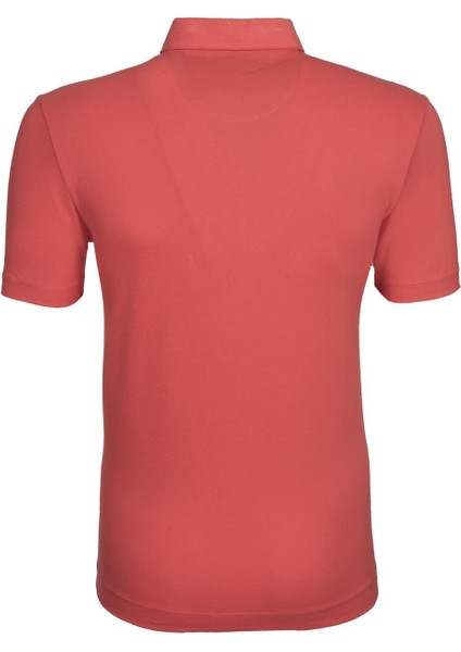 Erkek Basic Slim Fit Polo Yaka Tişört Y9TYO7968 modelleri