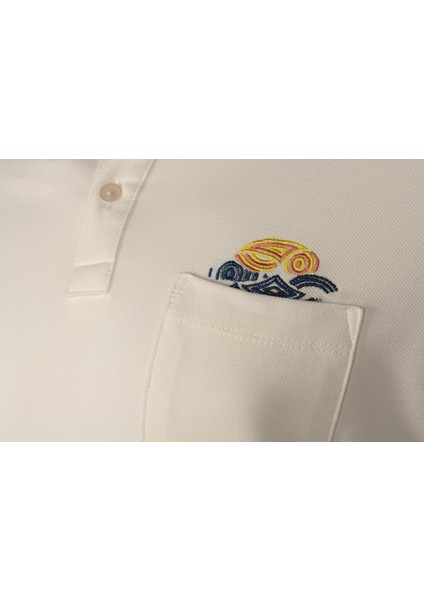 Erkek Polo Yaka Tişört Y9TYO7960 modelleri