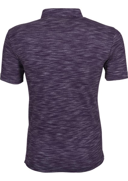 Erkek Regular Fit Polo Yaka Tişört Y9TYO7886 modelleri