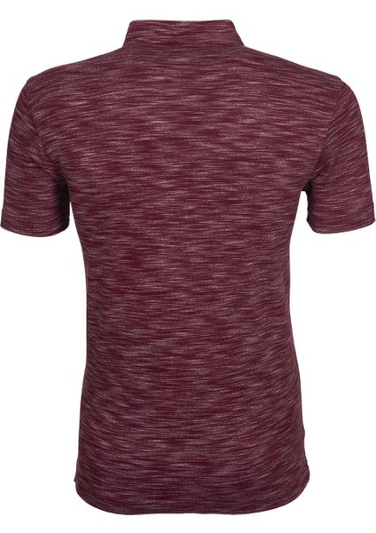 Erkek Regular Fit Polo Yaka Tişört Y9TYO7886 modelleri