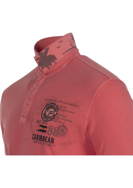 Erkek Polo Yaka Tişört Y9TYO7337 modelleri