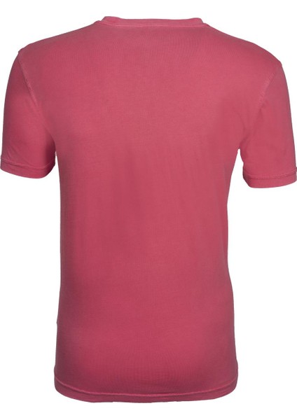 Erkek Bisiklet Yaka Tişört Y9TOO7482 modelleri