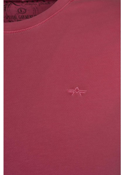 Erkek Bisiklet Yaka Tişört Y9TOO7480 fiyatları