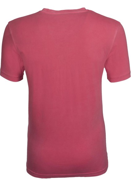 Erkek Bisiklet Yaka Tişört Y9TOO7480 modelleri