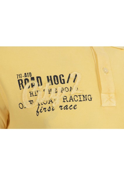 Erkek Polo Yaka Tişört Y0TYO7345 modelleri