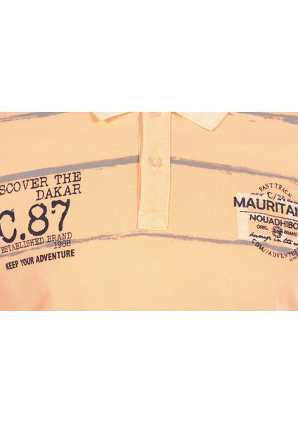 Erkek Polo Yaka Tişört Y0TYO7180 modelleri