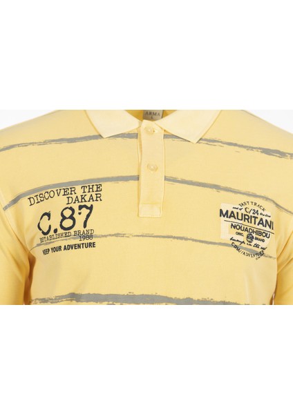 Erkek Polo Yaka Tişört Y0TYO7180 modelleri