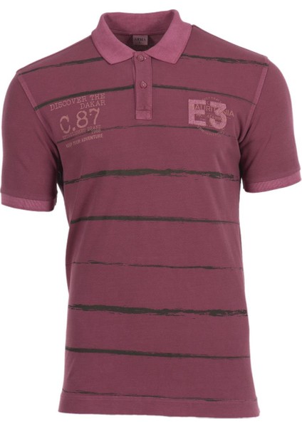 Erkek Polo Yaka Tişört Y0TYO7180