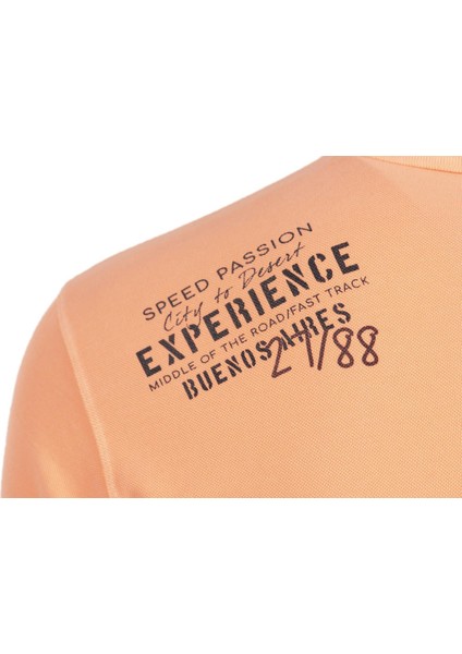 Erkek Regular Fit Polo Yaka Tişört Y0TYO7179 modelleri