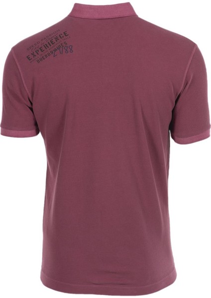 Erkek Regular Fit Polo Yaka Tişört Y0TYO7179 fiyatları