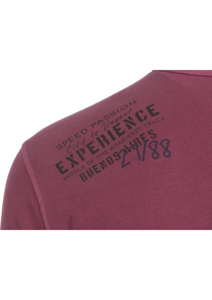 Erkek Regular Fit Polo Yaka Tişört Y0TYO7179 modelleri