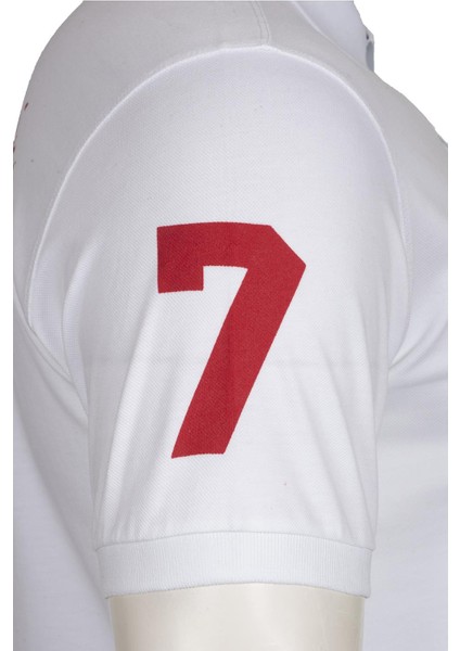 Erkek Polo Yaka Tişört Y0TYO2655 indirimleri