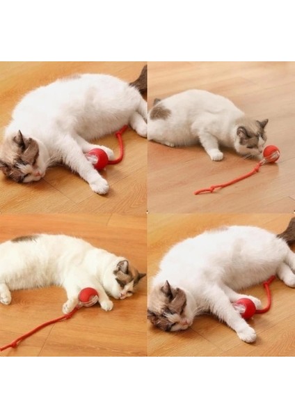 Şarjlı Kedi Oyuncağı indirimleri