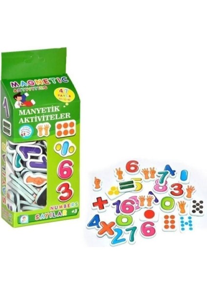 Manyetik Aktiviteler - Sayılar / +3 Yaş