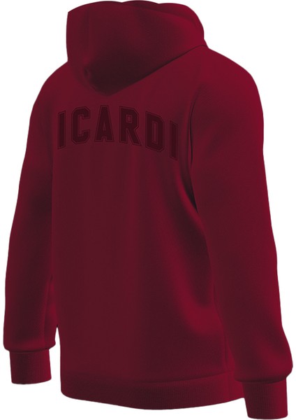 Galatasaray Erkek Icardi Fermuarlı Hoodie E232251 fiyatları