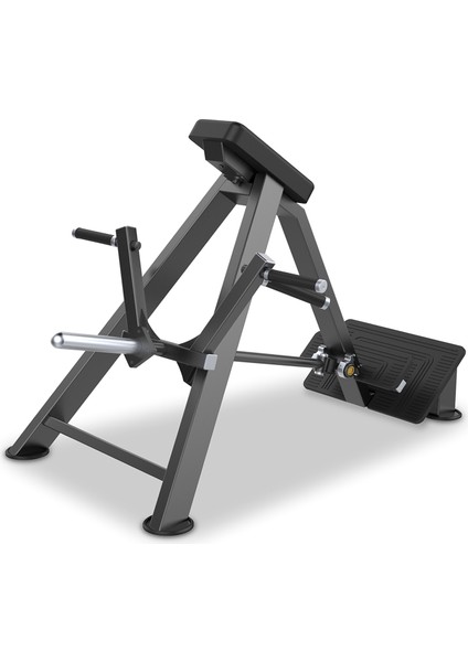 T-Bar Rowing