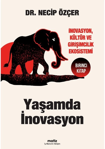 Yaşamda İnovasyon - Necip Özçer