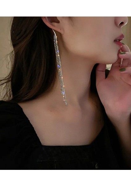 Taşlı Kulak Aksesuarı Kadın Küpe fiyatları