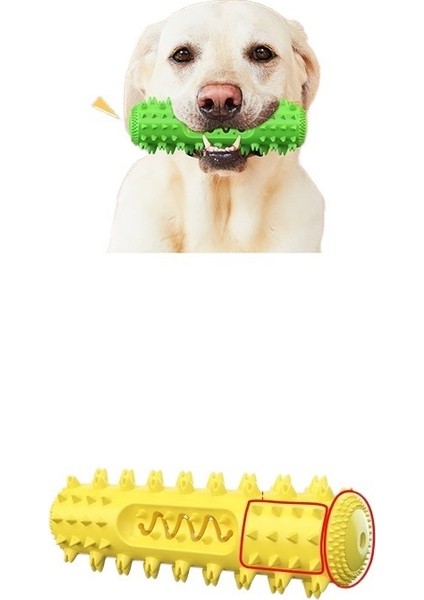 Köpek Oyuncak Diş Çıkarma Çubuğu (Yurt Dışından)