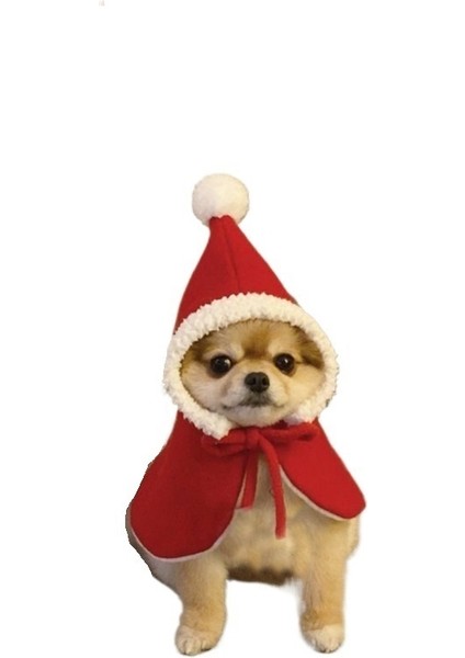 Köpek Noel Doğum Günü Şapkası Giysileri (Yurt Dışından) fiyatları