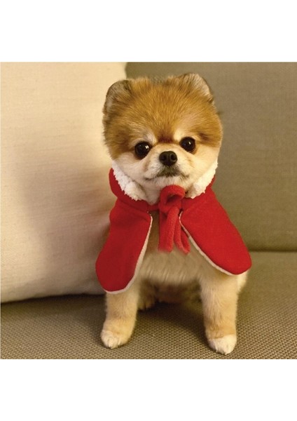 Köpek Noel Doğum Günü Şapkası Giysileri (Yurt Dışından) modelleri