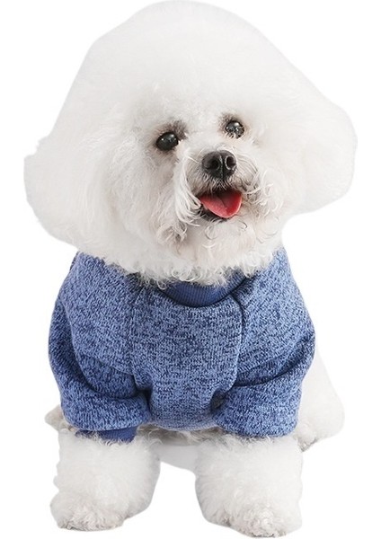 Evcil Köpek Kazak (Yurt Dışından)