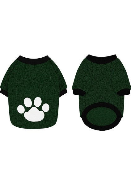 Evcil Köpek Kazak (Yurt Dışından)