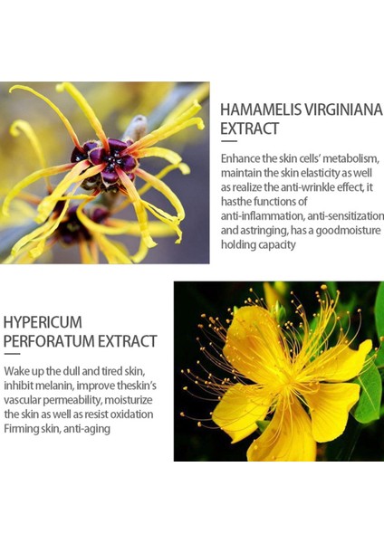 Salisilik Asit Stok Solüsyonu Büzülme Gözeneği Siyah Nokta Güzellik Özü (Yurt Dışından) fırsatları