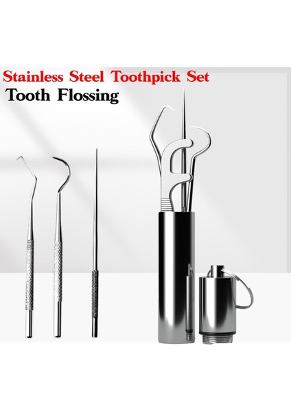 Yeniden Kullanılabilir Kürdan Seti Paslanmaz Çelik Diş Ipi Kürdan Ağız Temizleme Diş Ipi Taşınabilir Kürdan Diş Ipi Temizleyici (Yurt Dışından)