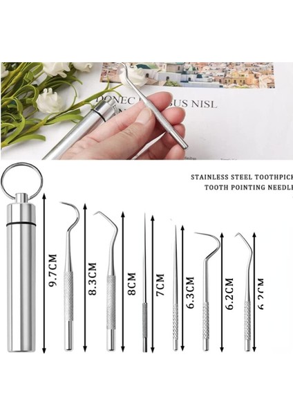 Yeniden Kullanılabilir Kürdan Seti Paslanmaz Çelik Diş Ipi Kürdan Ağız Temizleme Diş Ipi Taşınabilir Kürdan Diş Ipi Temizleyici (Yurt Dışından) fırsatları