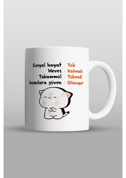 Komik Espirili Baskılı Kupa Bardak - Sevgililer Günü Hediye fiyatları