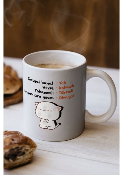 Komik Espirili Baskılı Kupa Bardak - Sevgililer Günü Hediye indirimleri