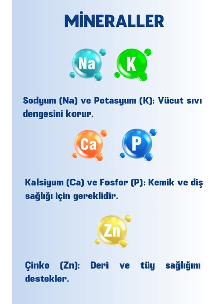 Multivitamin 8'li Avantajlı Paket