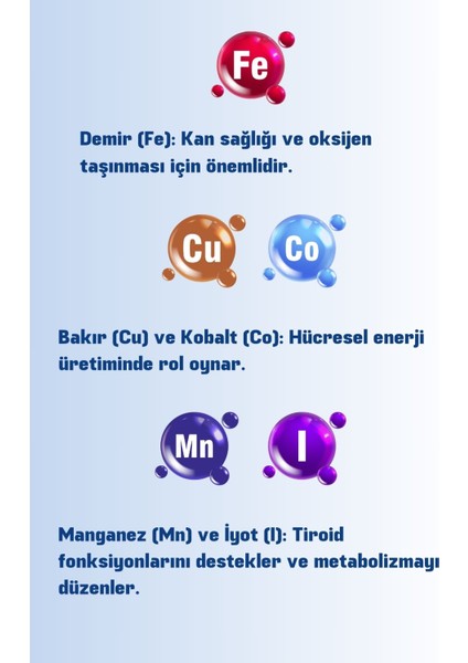 Multivitamin 8'li Avantajlı Paket