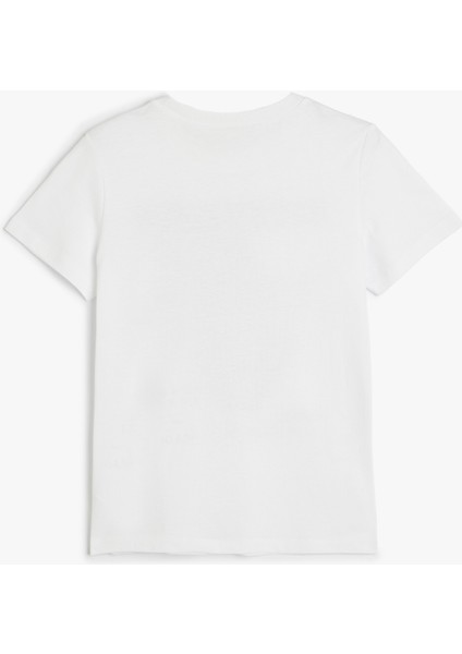 Dinozorlu Tişört Kısa Kollu Bisiklet Yaka Pamuklu fiyatları