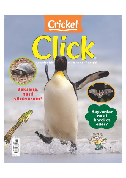 Clıck Sayı 1
