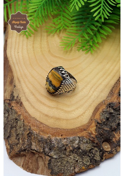 Septeryan Taşlı 925 Ayar Gümüş Erkek Yüzük 201023694 fırsatları