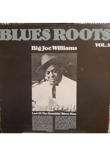 Big Joe Williams – Last Of The Ramblin Blues Man - Plak Lp