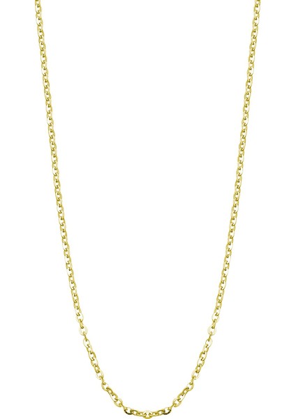 14 Ayar Altın Parlak Zincir Kolye fırsatları