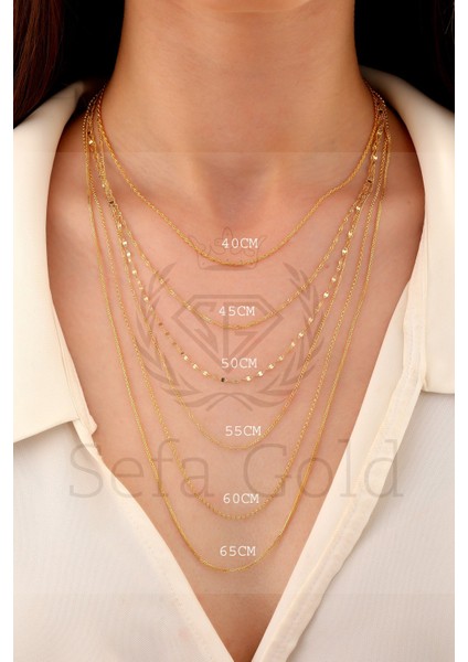 14 Ayar Altın Parlak Zincir Kolye indirimleri