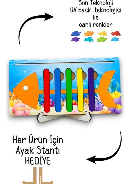 Renkli Balık Kılçıklar Zeka Oyunu, Robotik Kodlama Bul Tak Oyunu, Egitici Oyuncak, Montessori Egitim fırsatları