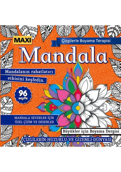 Mandala Çizgilerle Boyama Terapisi 015