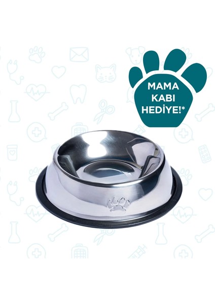 Kediler ve Köpekler İçin Şampuan Okyanus 2X250 ml 100% Doğal Argan Yağlı modelleri