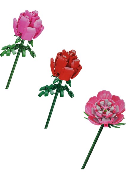 Rose ve Carnation Flower Block 3lü Set fiyatları