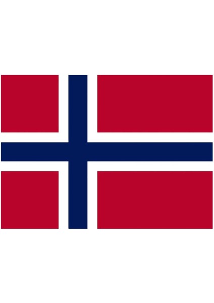 Norveç Bayrağı (50x75 Cm)