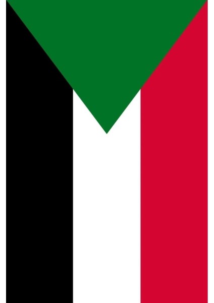 Sudan Bayrağı (30x45 Cm)